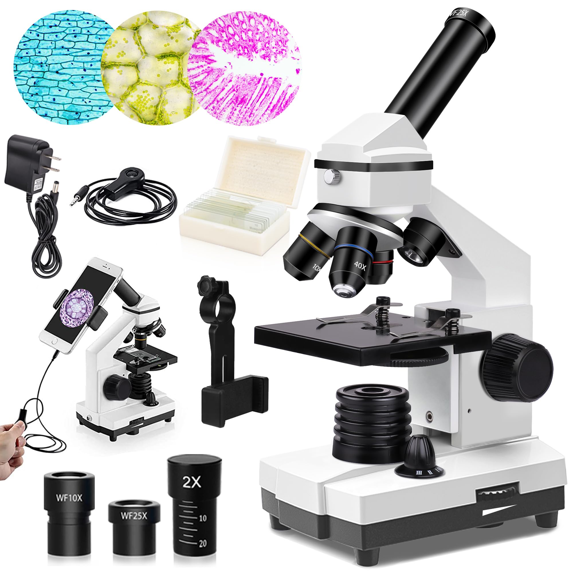 100X-4000X Microscopes for Kids Students Adults, Powerful Biological Microscopes for School Laboratory Home Education, with Microscope Slides Set, Phone Adapter